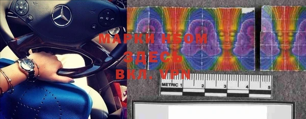 мяу мяу мука Бородино