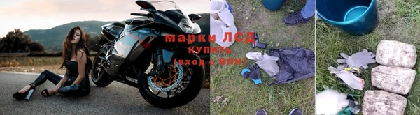 мяу мяу мука Бородино